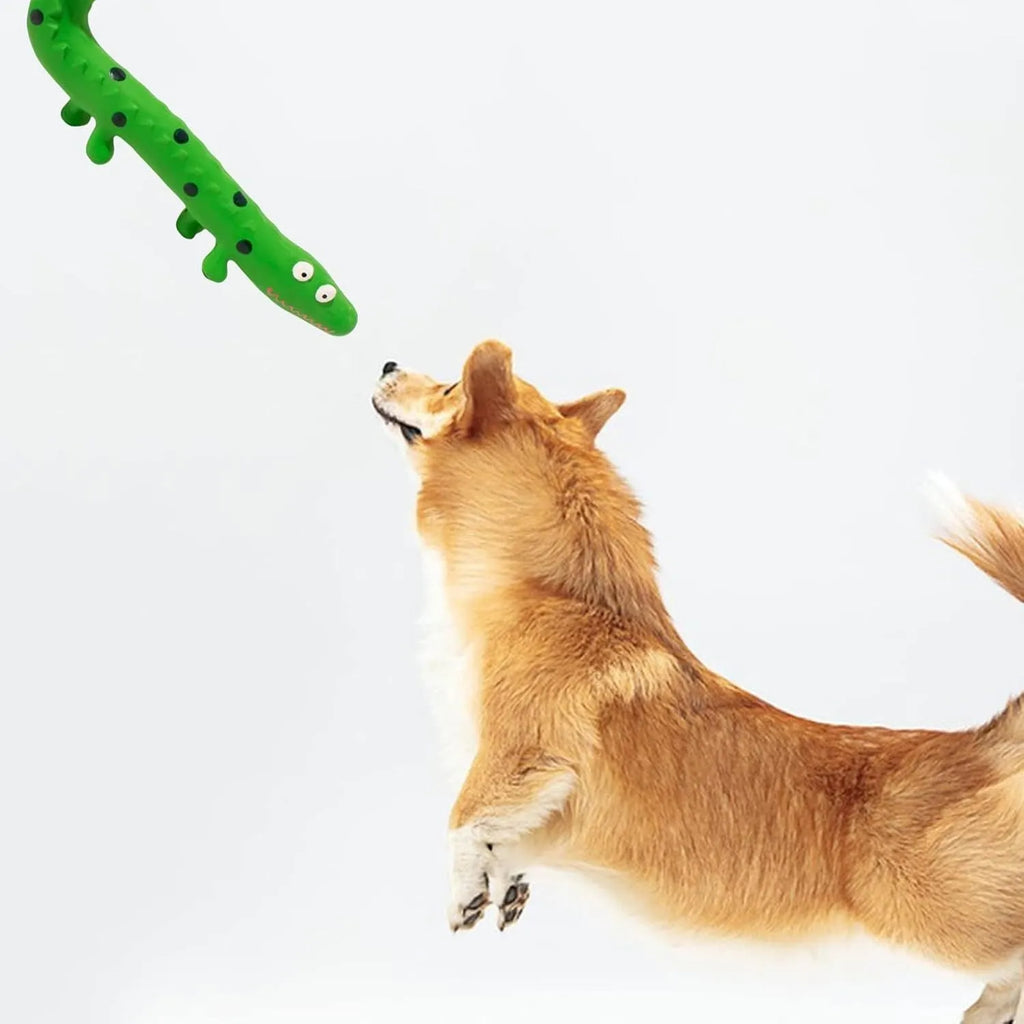 Green lizard-shaped dog chew toy with textured surface for teeth cleaning and squeaker inside