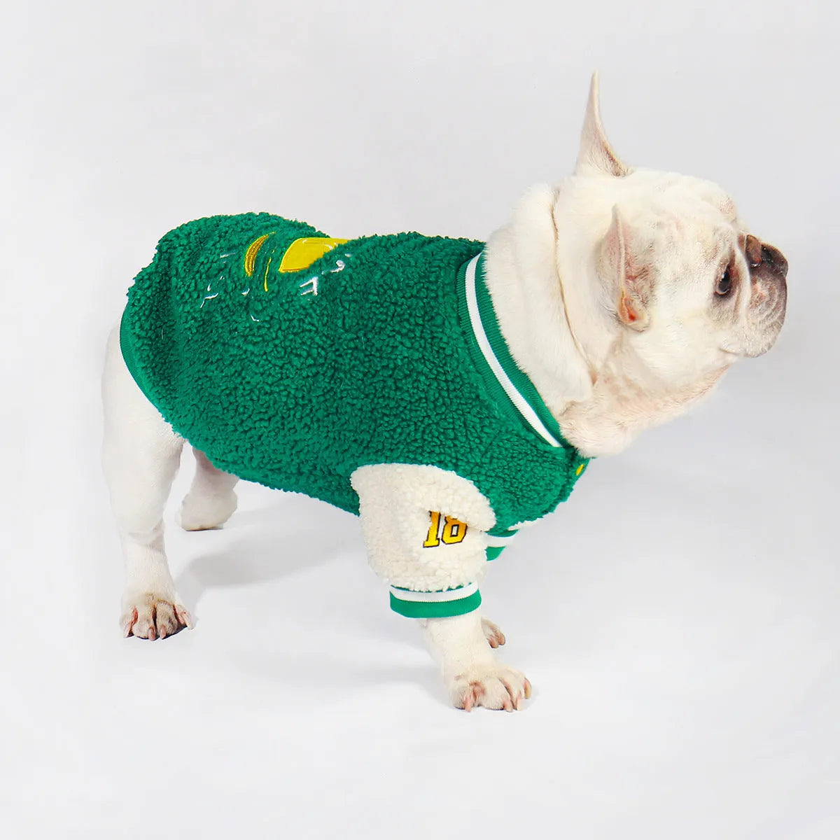 Green fleece-lined cotton winter coat for a large dog on a white background.