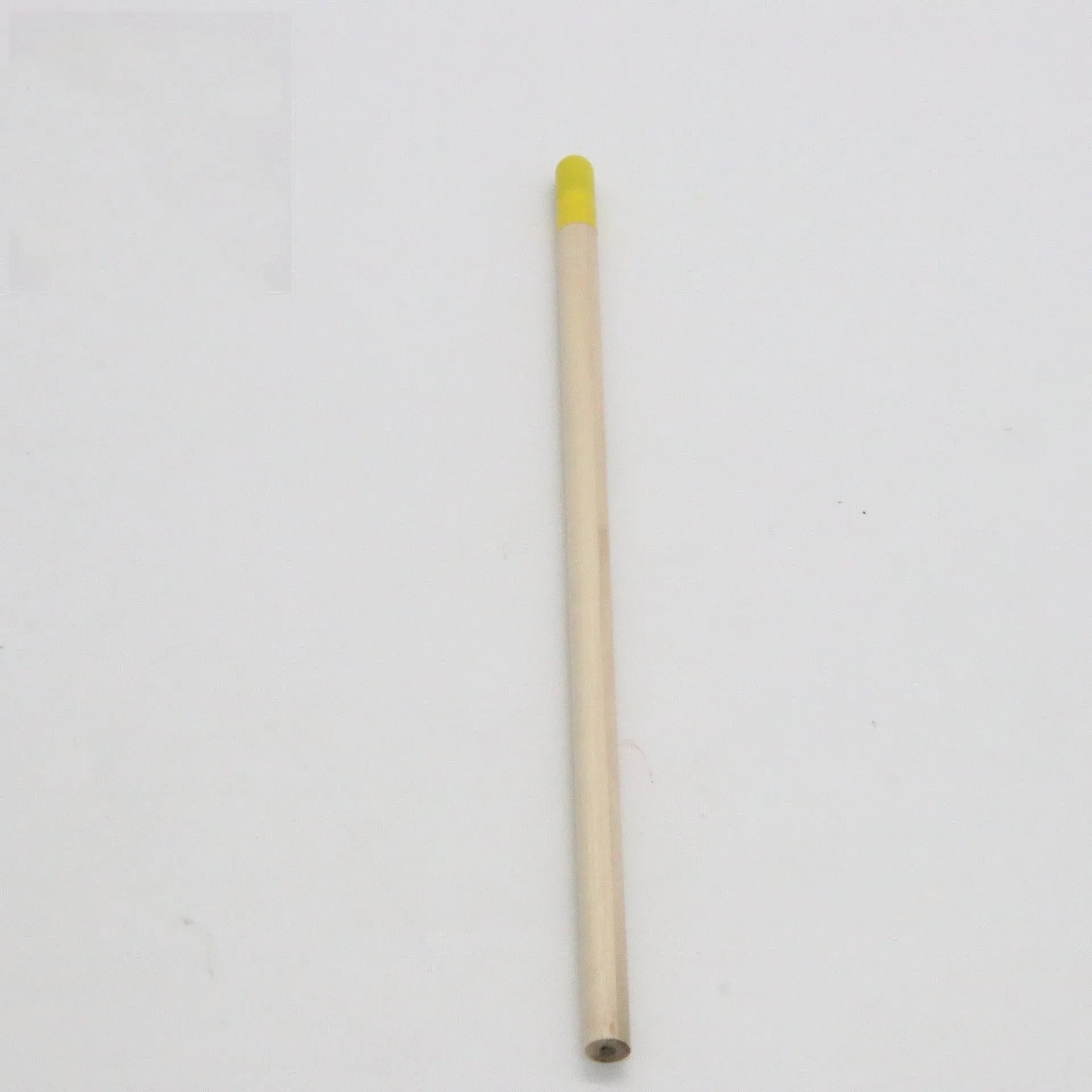 Seed pencil HB refill with degradable capsule containing plant seeds in multiple colours