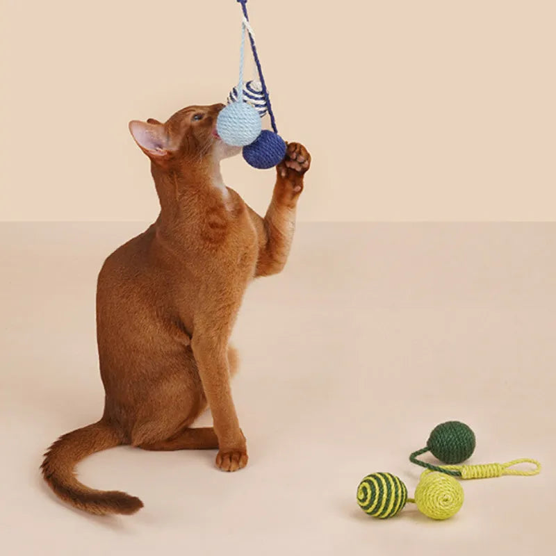 Multi-colour cat teaser wand set with bite-resistant catnip balls and feather attachments