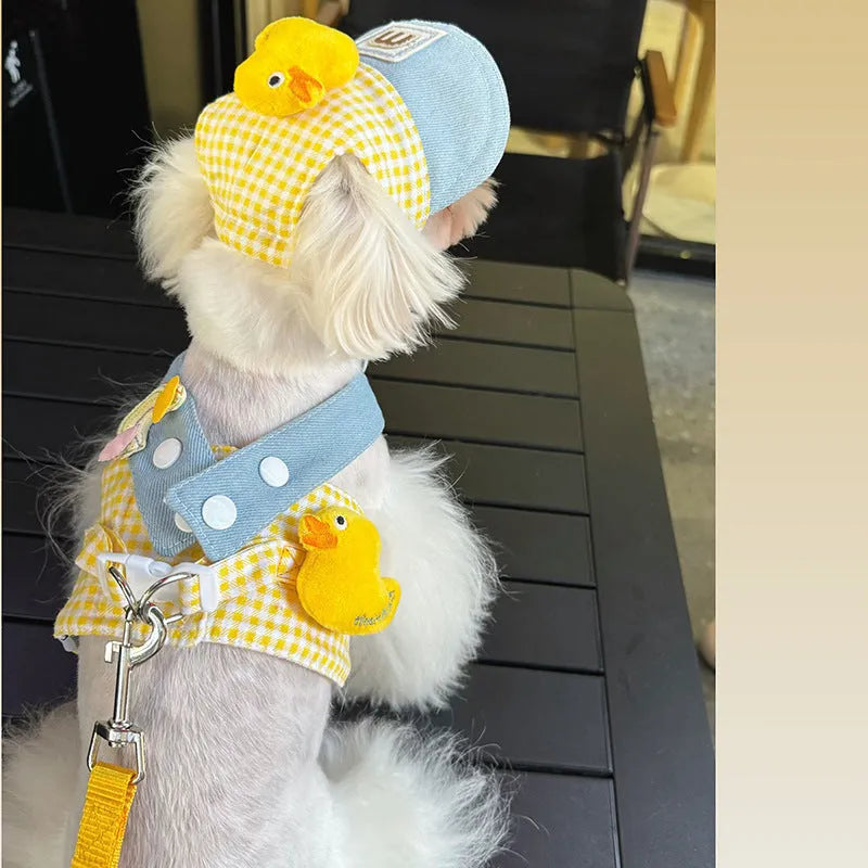 Pet dog harness and leash set with a cute animal hat and a blue tug rope on a green background.