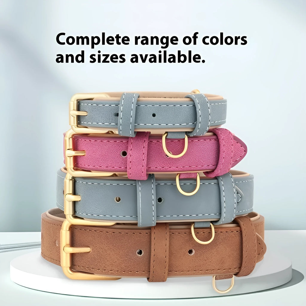 Double-layer leather dog collar and matching lead in rose red, brown, or blue