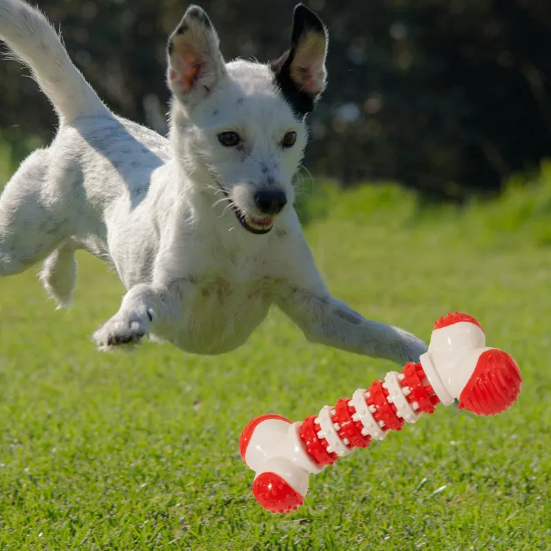 Blue bone-shaped interactive dog toy with treat holder compartment for small breed puppies