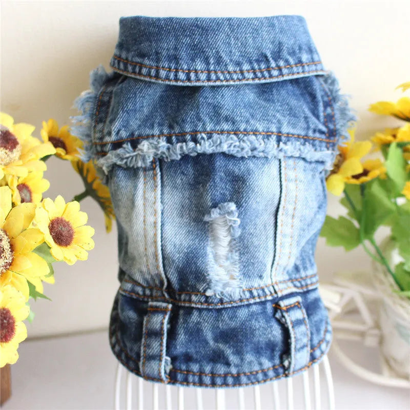 Ripped fringe denim pet vest for dogs with tassel detail in casual style