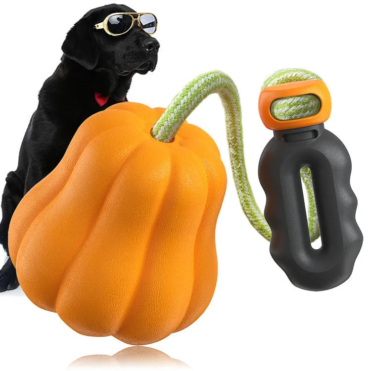 Orange plastic dog fetch toy with a built-in rope handle on a white background.