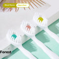 Box of Bead disposable travel toothbrushes showing mint flavour 20-piece set