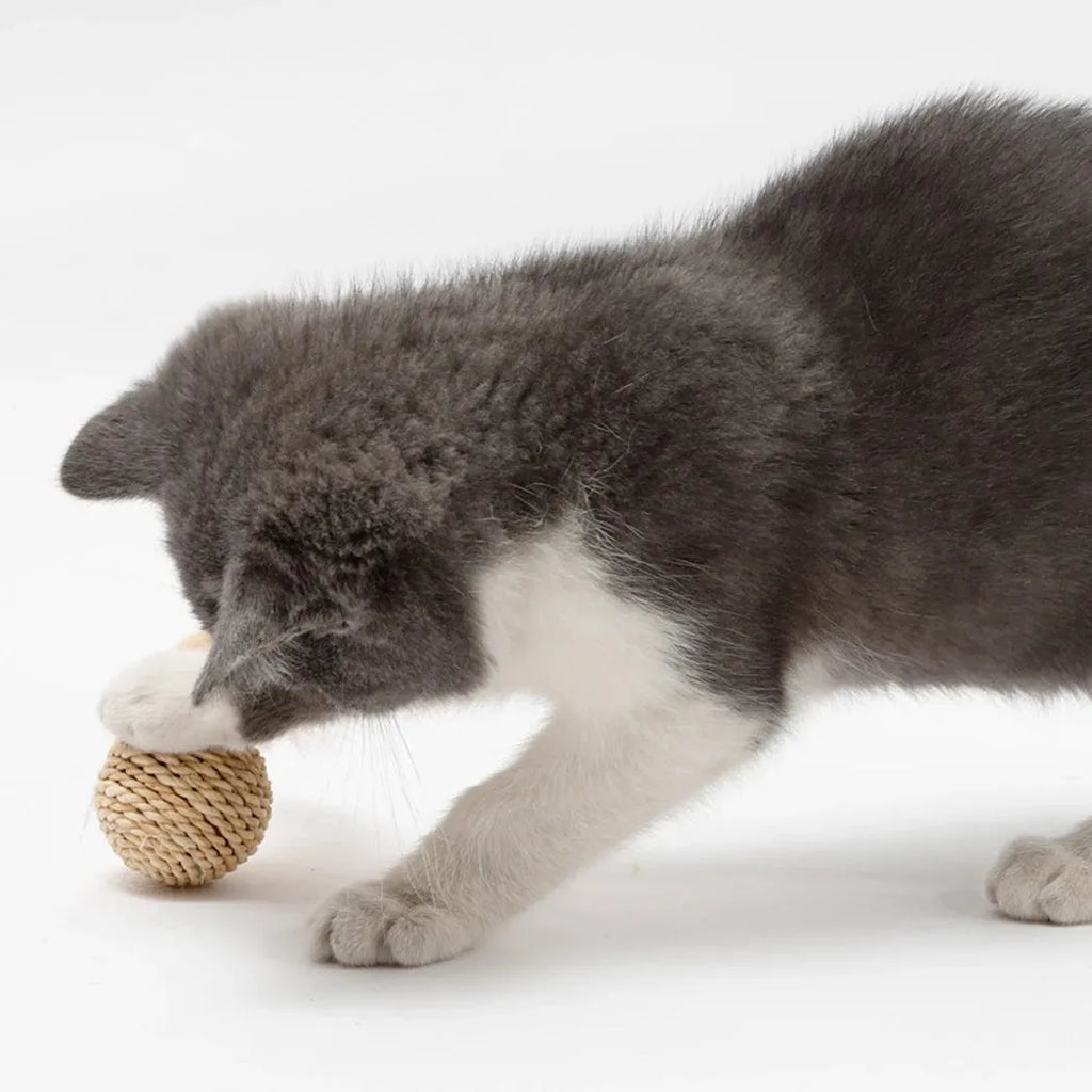 Two cat toys: a woven rattan ball and a faux feather ball with bell on a white background.