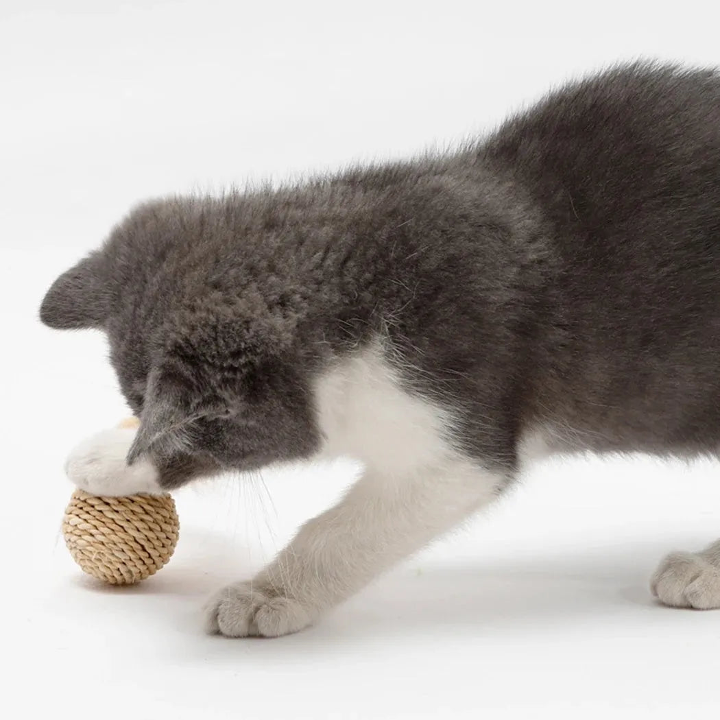 Two cat toys: a woven rattan ball and a faux feather ball with bell on a white background.