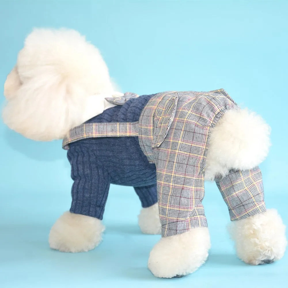 Orange and dark blue cotton dog shirt suit for small breeds with S-2XL size options