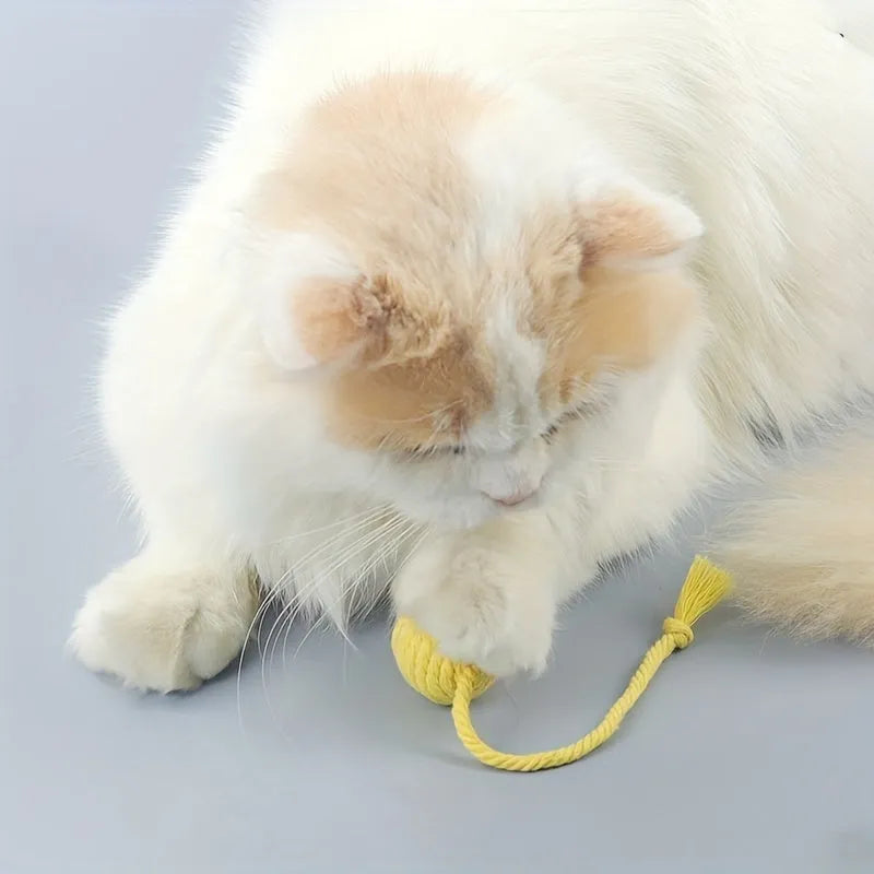 Green and pink plastic cat toy balls with ropes and internal bells.