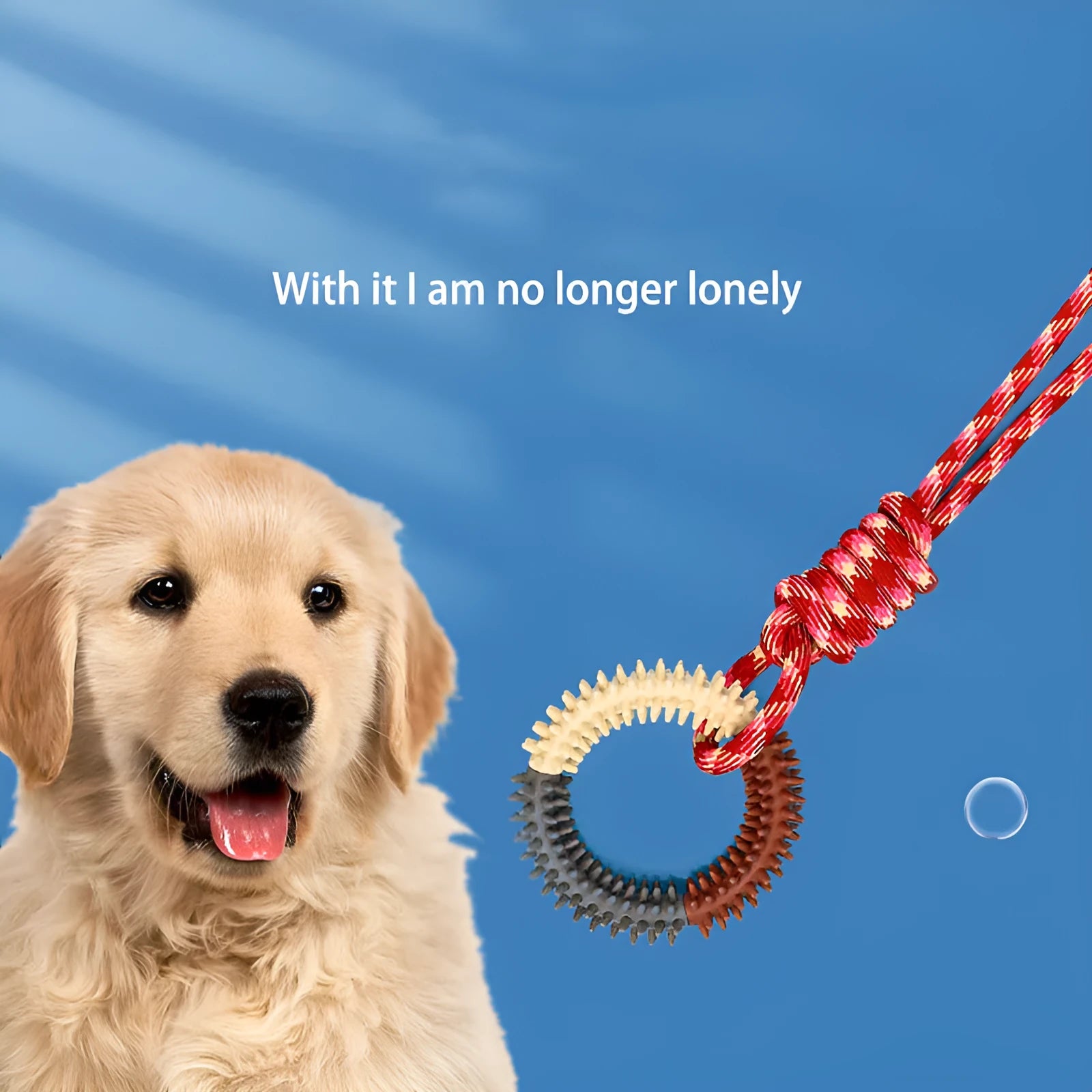 Blue braided rope dog toy with knots, showing length of 43cm