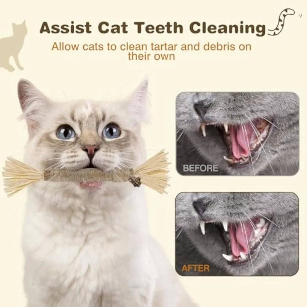 A pack of three natural silvervine chew sticks for cats with sisal rope, for dental care and enrichment.