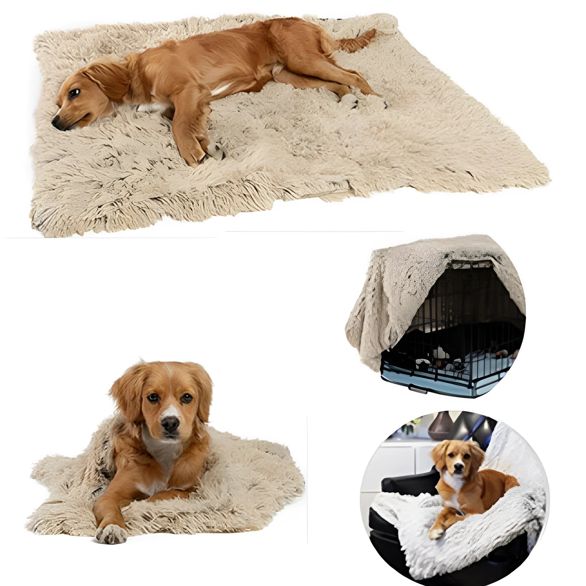 Dog blanket in long plush wool-polyester blend showing three size options and colour variations