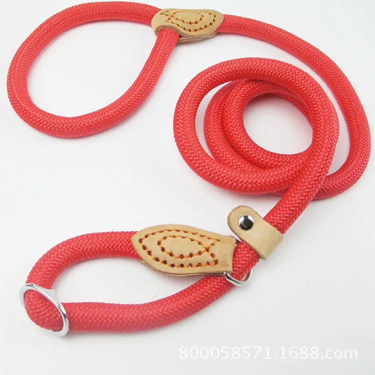 Brown nylon P-chain dog leash held in a hand, showing its full length and textured rope design.