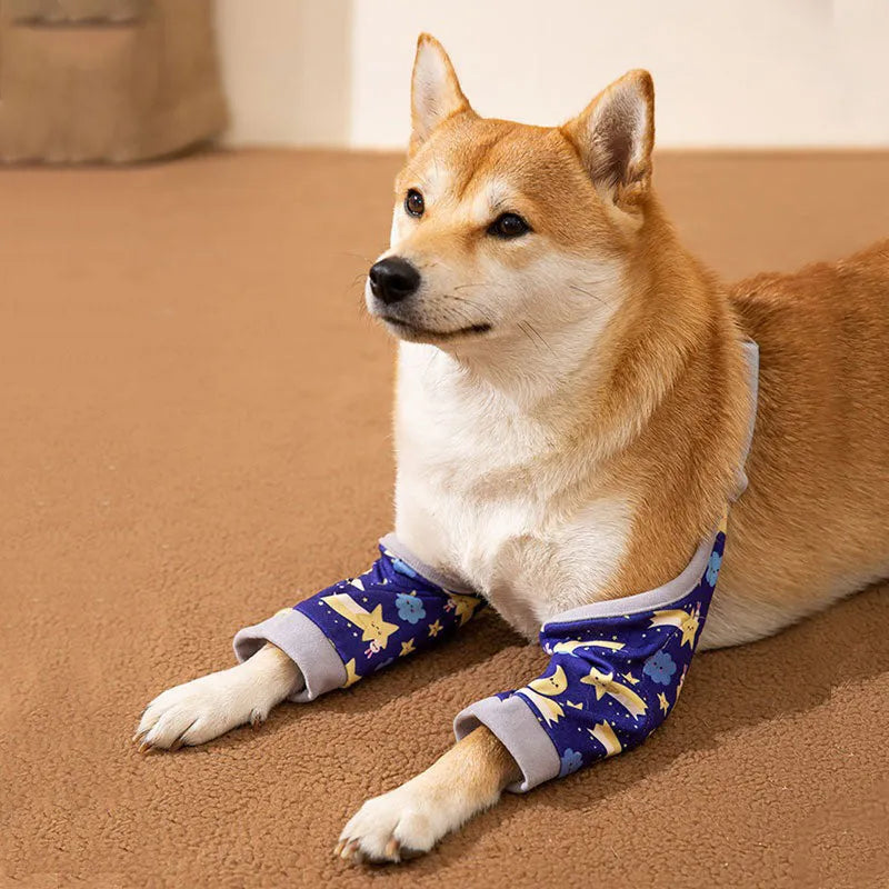 Blue adjustable dog elbow protector sleeve with padded patch and matching scarf on a large dog's front leg.