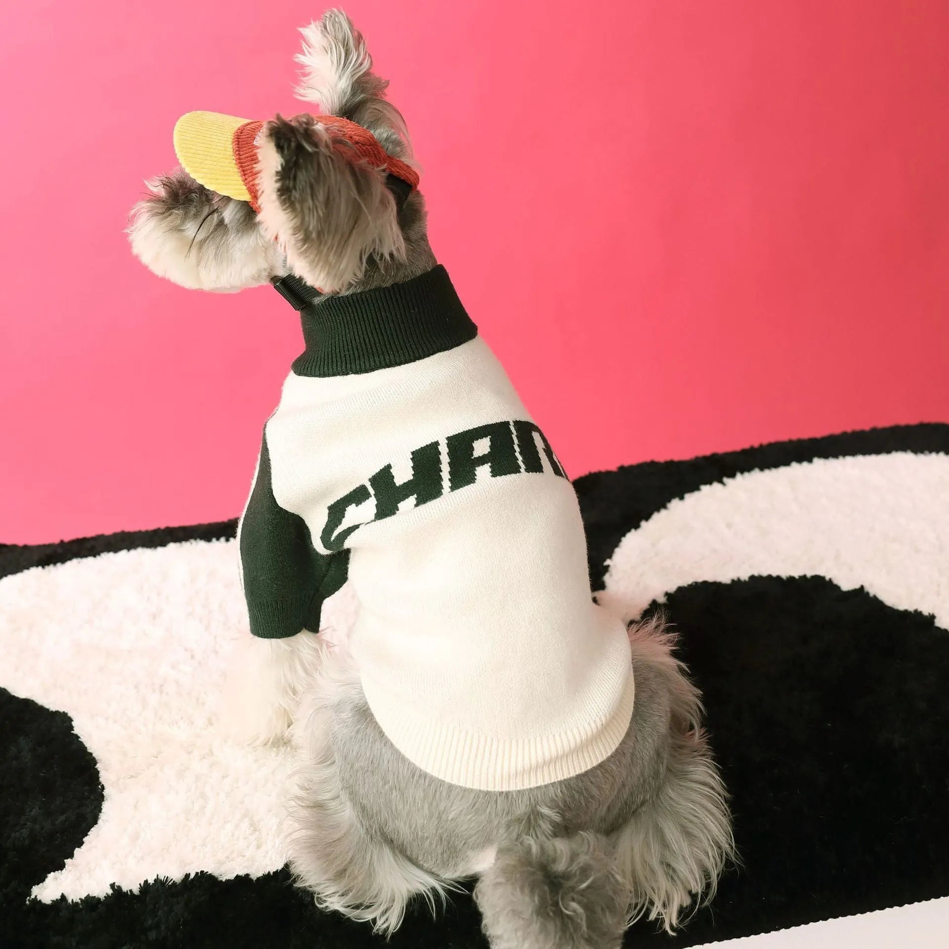 Red wool-blend sports cardigan sweater for dogs on mannequin showing menswear styling