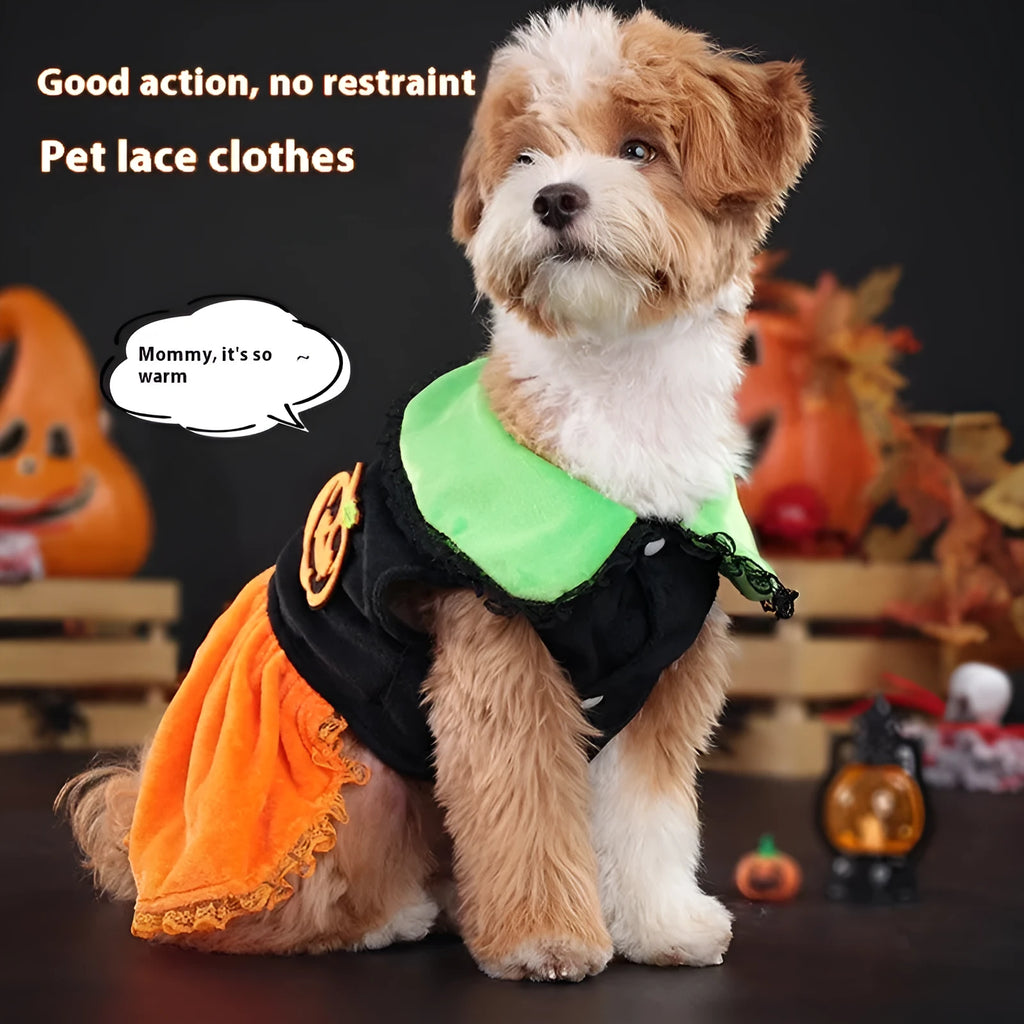 Halloween pet costume pumpkin skirt and sweater for dogs and cats in crystal velvet fabric
