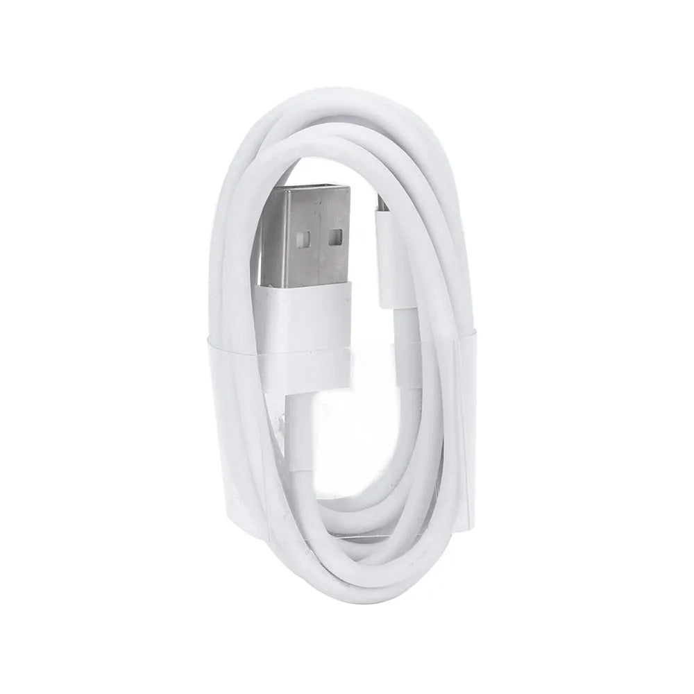 White 5V 2A USB wall charger and white USB to Lightning cable for iPhone and iPad.