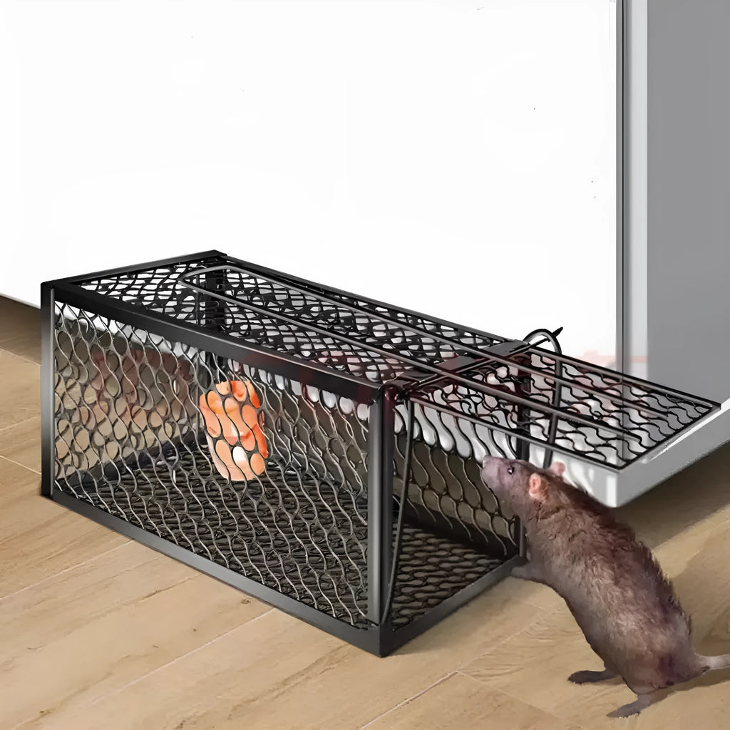 Automatic mouse cage trap showing small, medium and large size options with metal and plastic construction