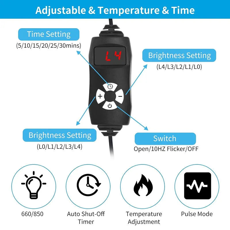 Black infrared therapy belt for waist and back pain relief with red light technology