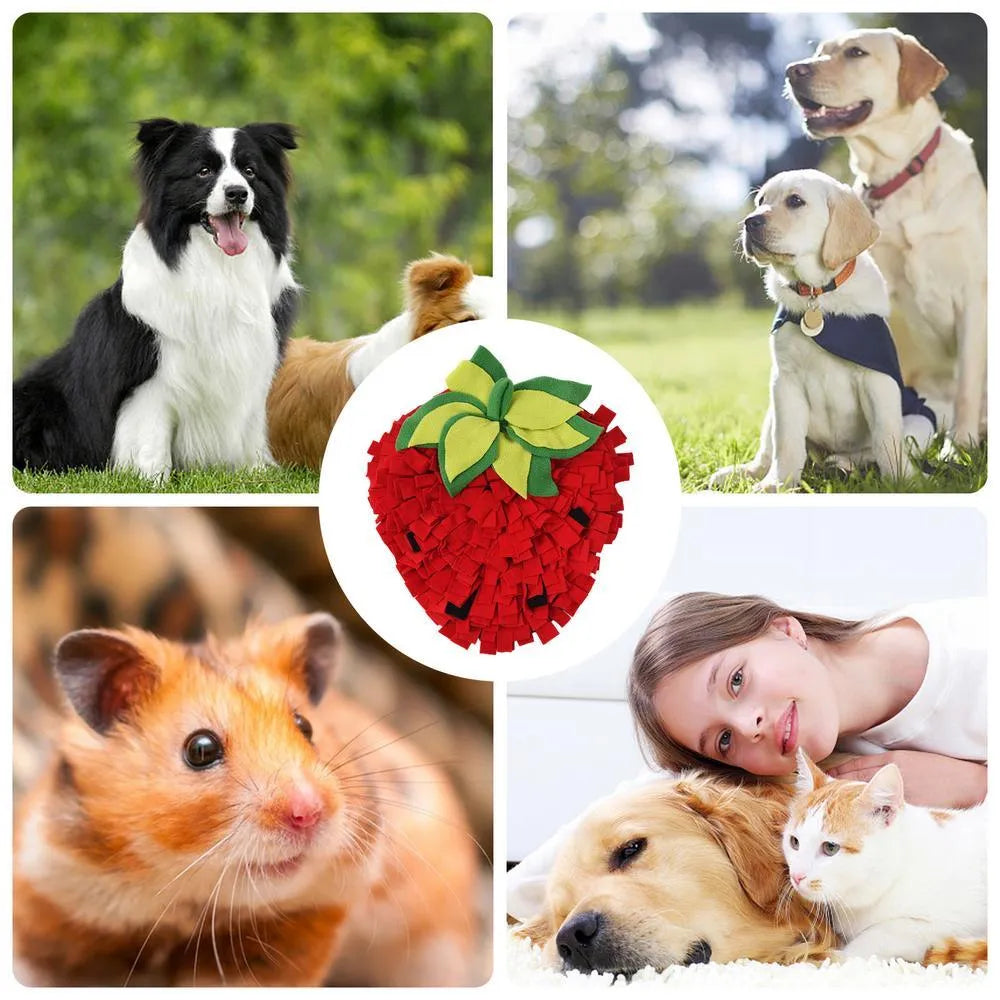 Red and green strawberry-shaped pet slow feeder snuffle mat on a floor