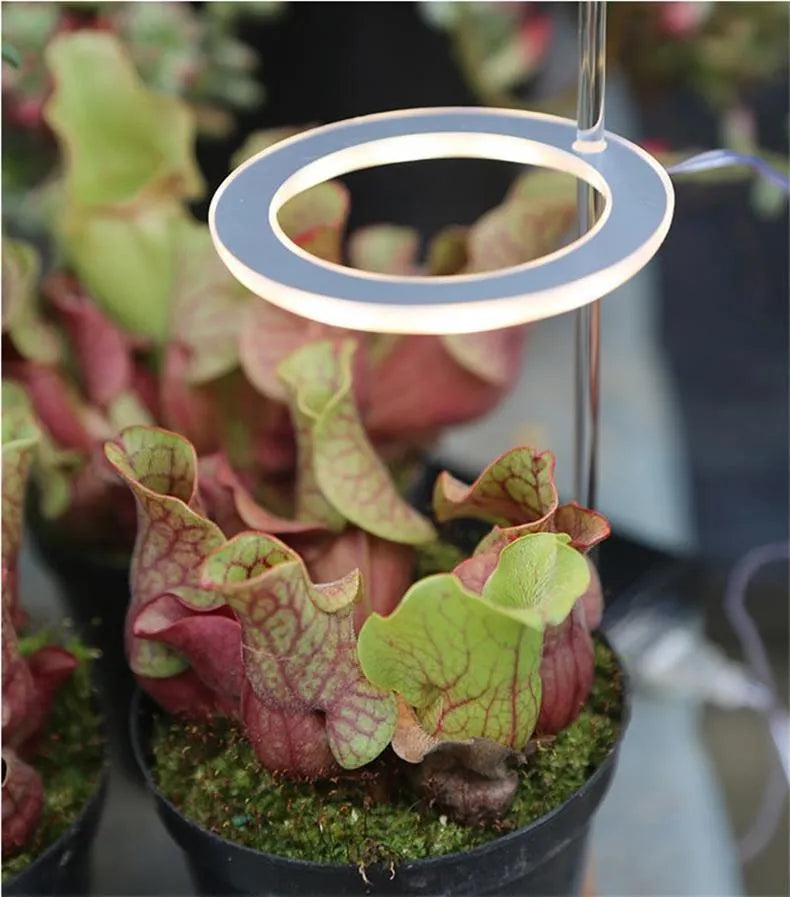 USB LED full spectrum plant grow light with acrylic stick in pink and white or yellow