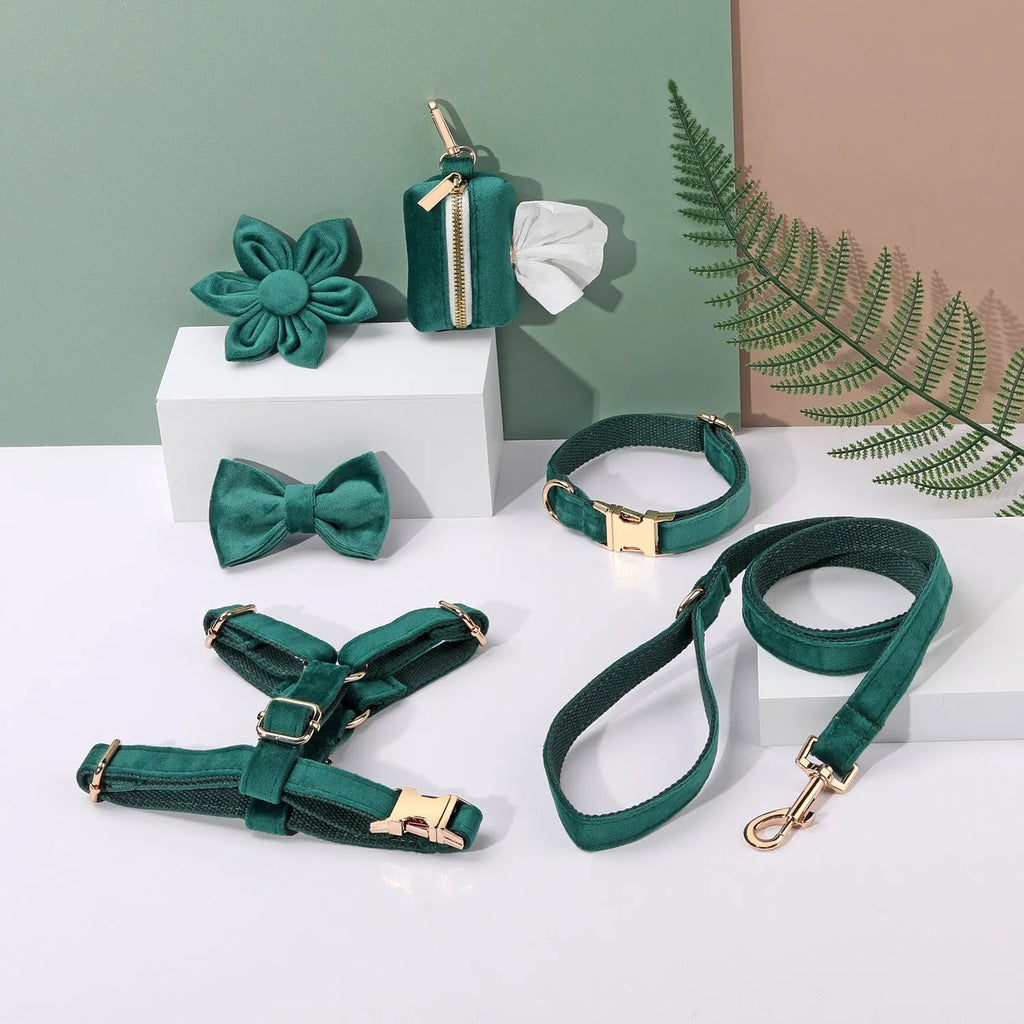 Velvet dog collar and harness set with matching bow tie and flower accessory