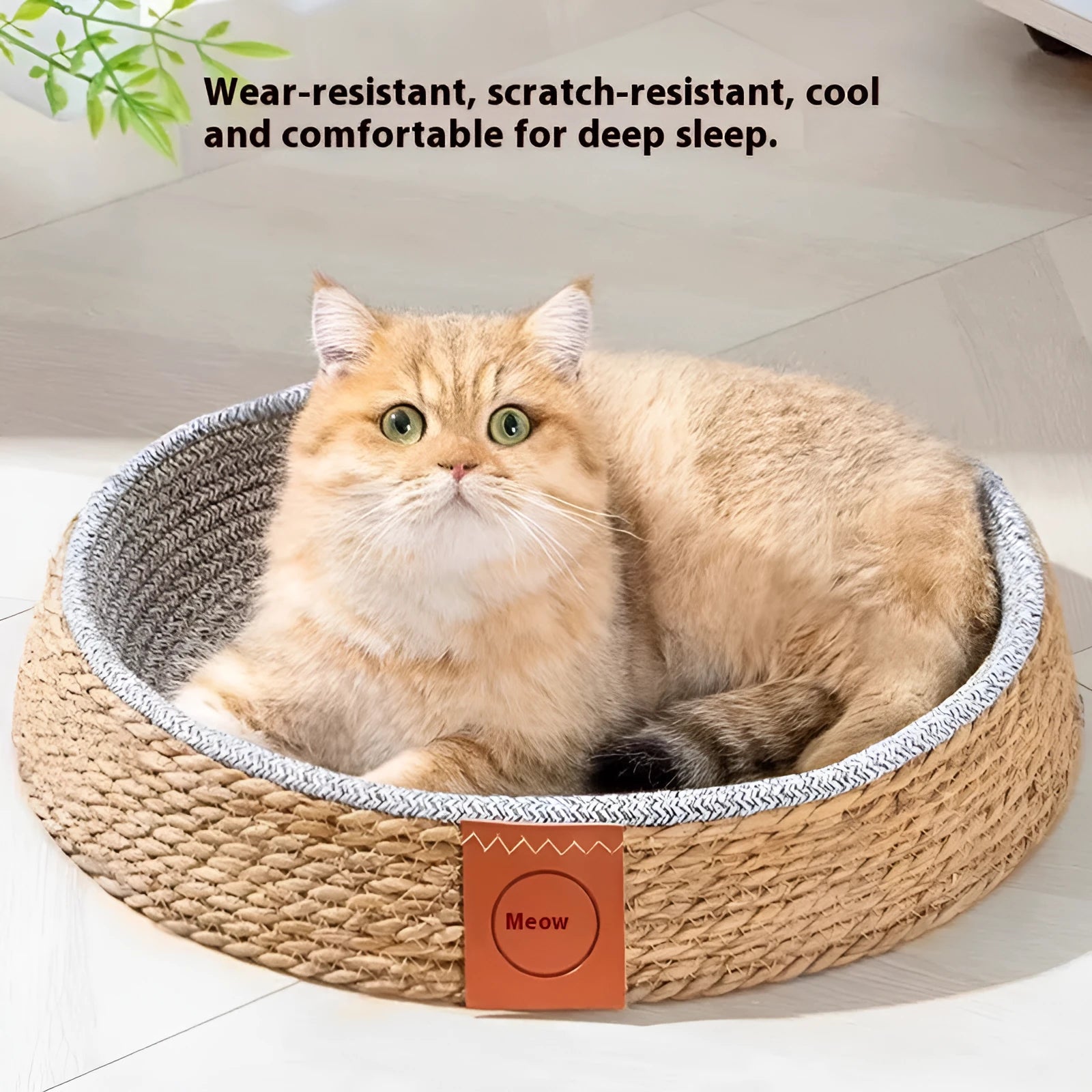 Rattan woven cat bed pet nest in a cage style, shown in a natural colour.