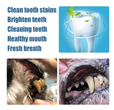 Pet teeth whitening pen with dental brushes for dogs and cats oral care