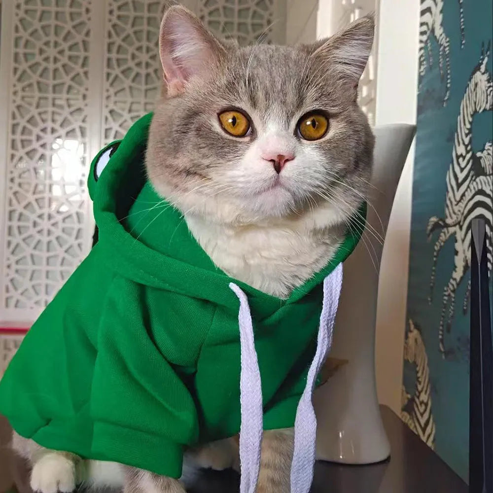 Green frog pattern hoodie costume on small dog with sweatshirt material and hood