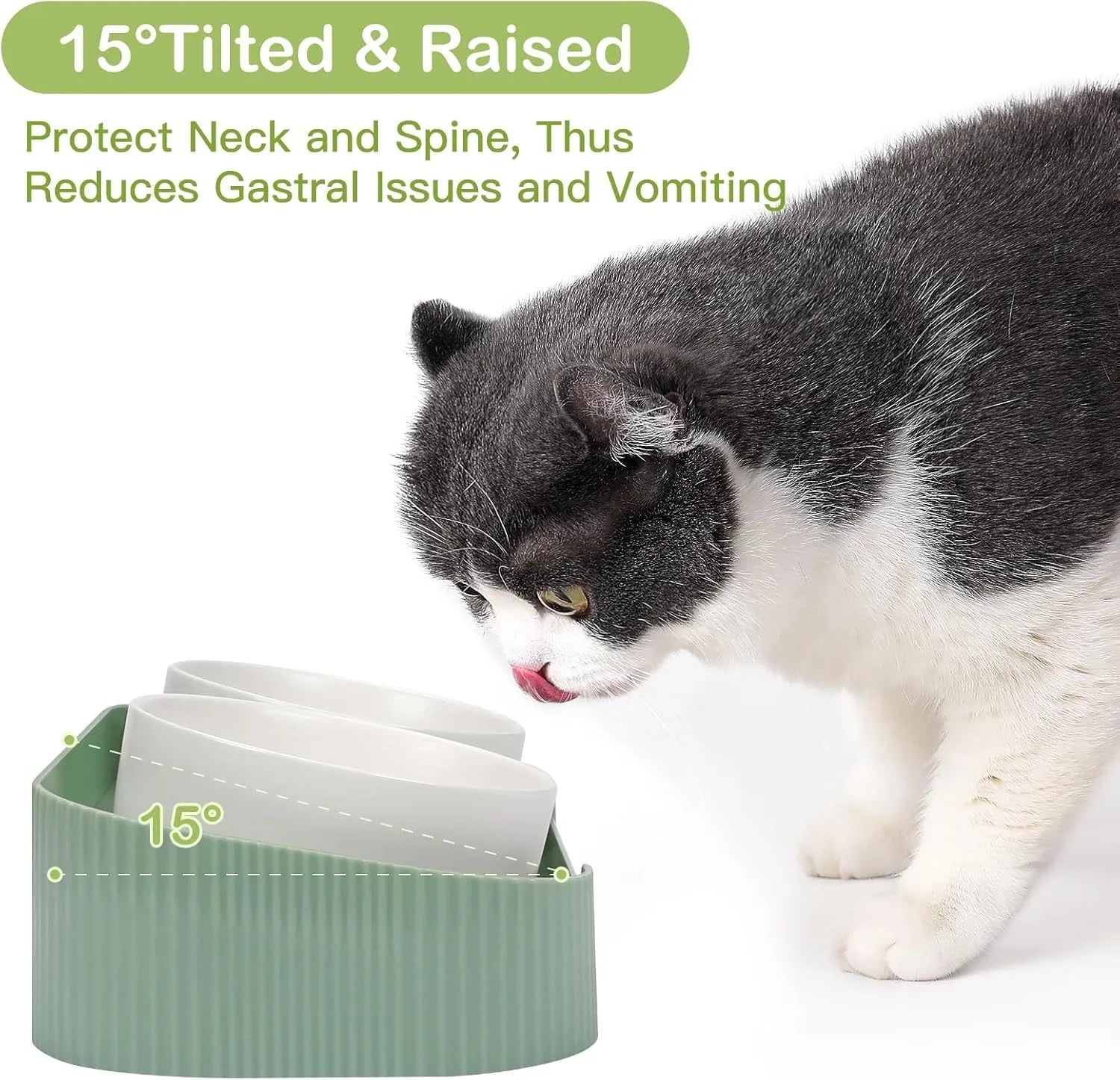 Green ceramic elevated cat bowls with 15-degree tilted stand for food and water