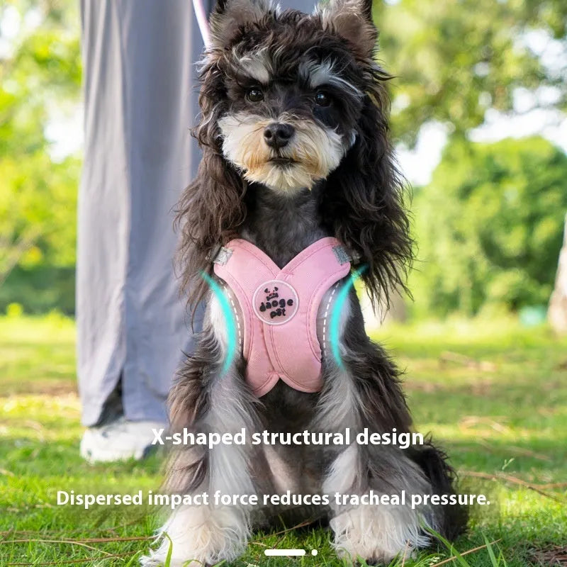 Polyester dog vest with attached hand holding rope in blue colour