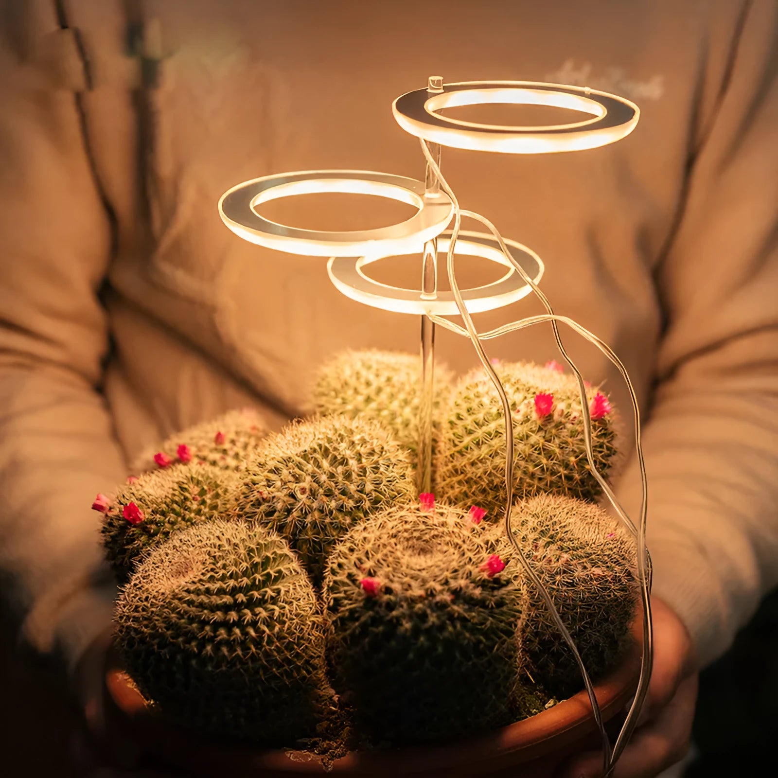 USB LED full spectrum plant grow light with acrylic stick in pink and white or yellow