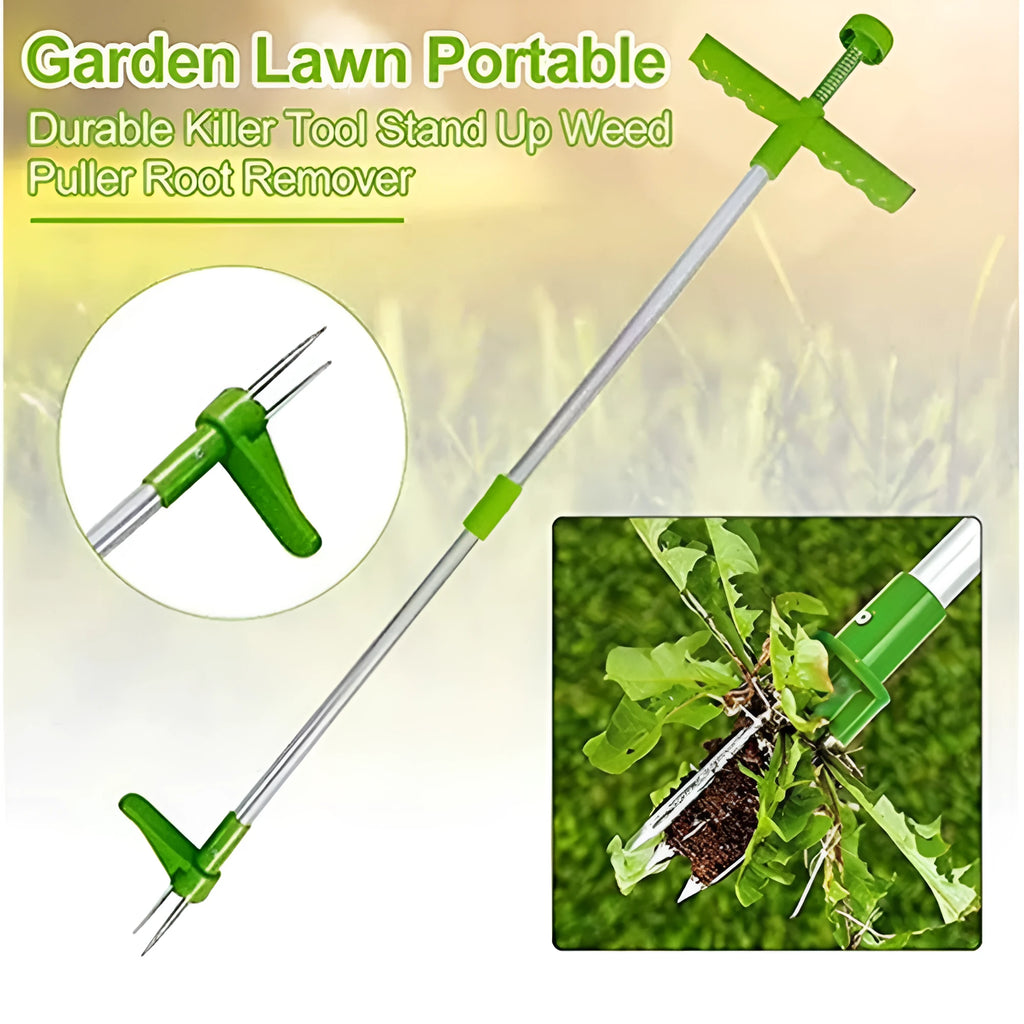 Aluminium and plastic manual garden weeding tool measuring 50cm in length.