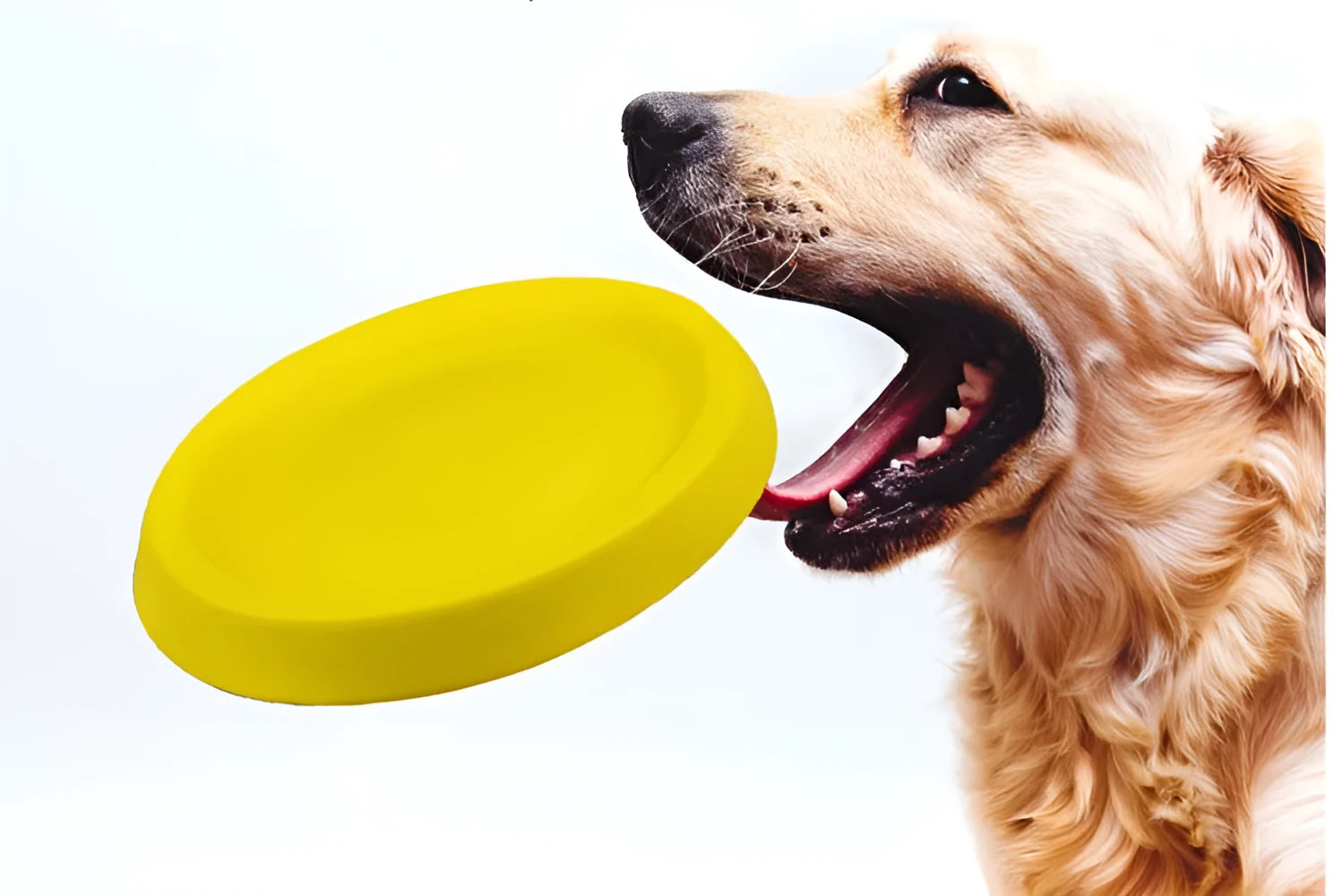 Bright yellow EVA dog throwing toy for interactive training and play activities