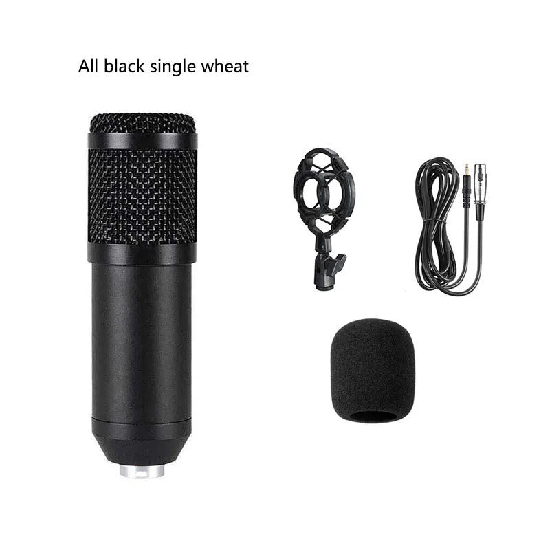 BM800 condenser microphone broadcast set with large diaphragm capsule, shock mount, pop filter, and bracket on packaging