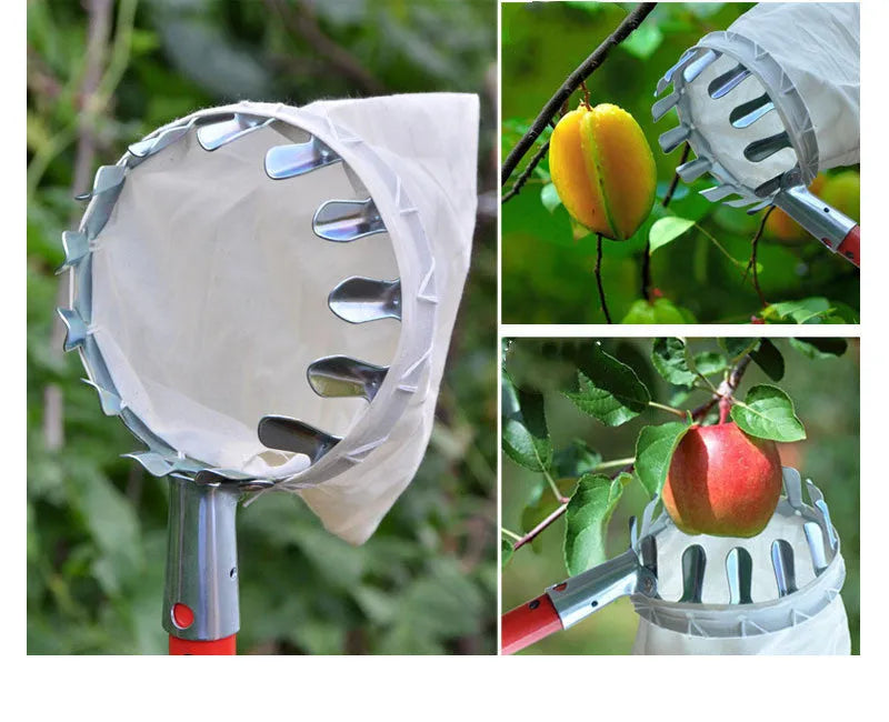 Steel frame fruit picker with cloth bag catcher for garden harvesting
