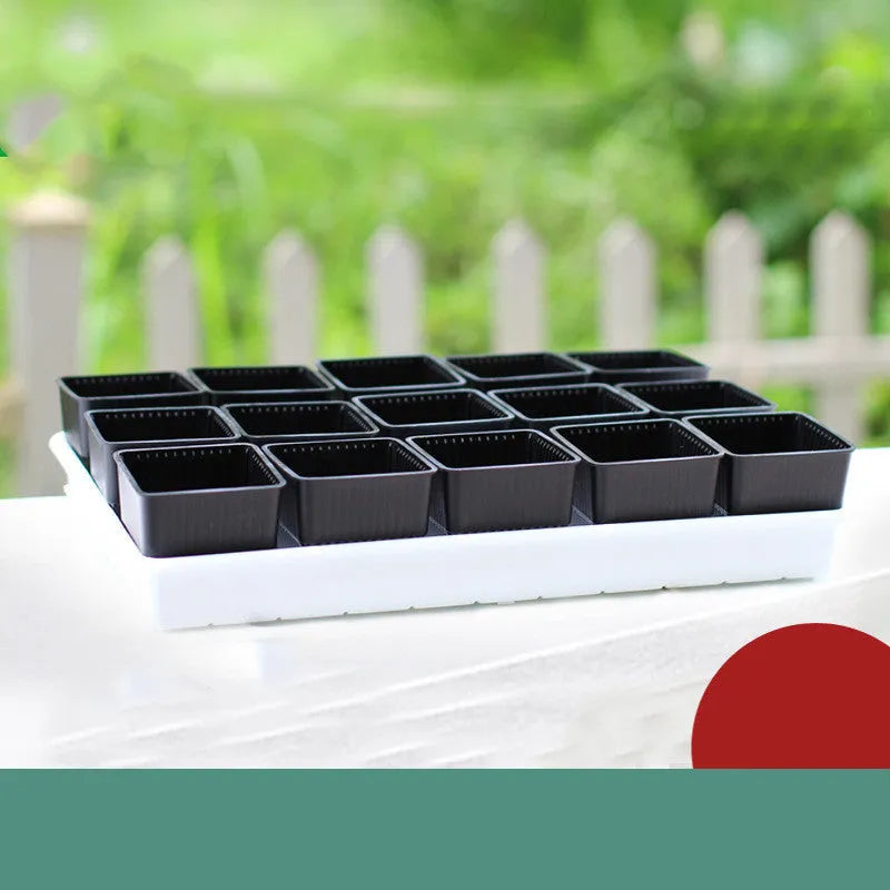 Meishi controlled root succulent flower pot set with black and white resin pots and tray
