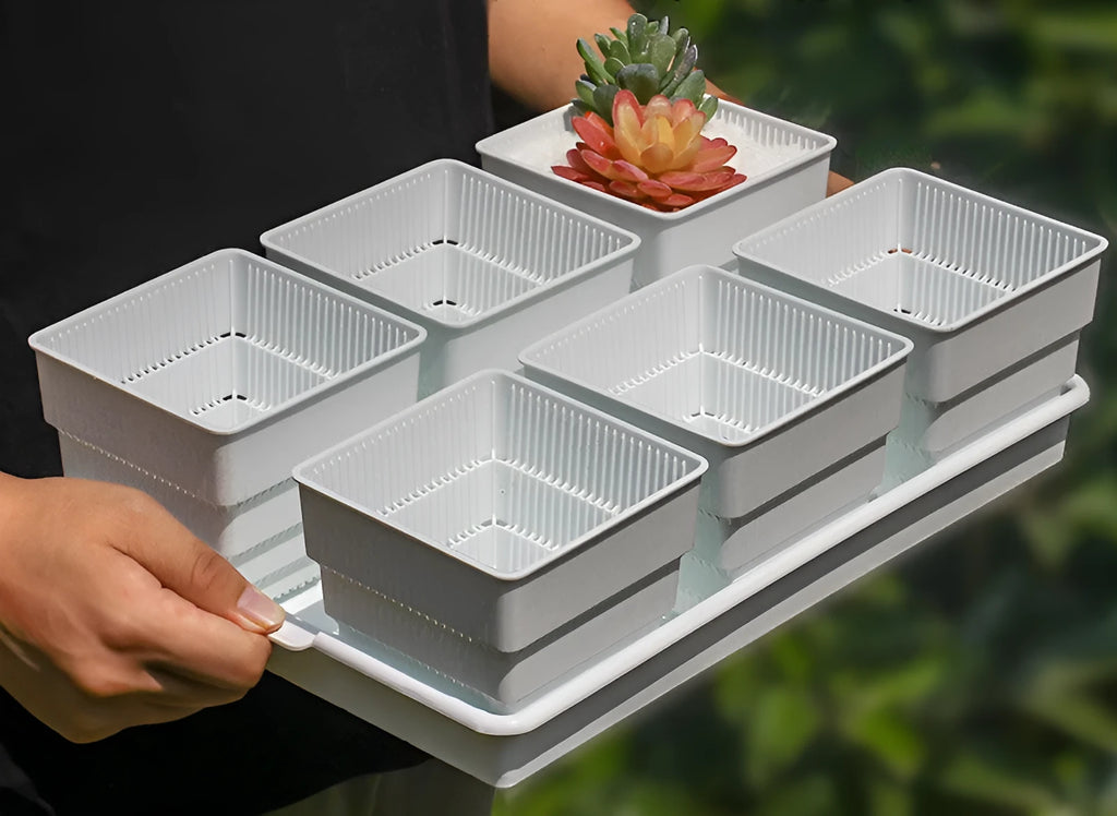 Meishi controlled root succulent flower pot set with black and white resin pots and tray
