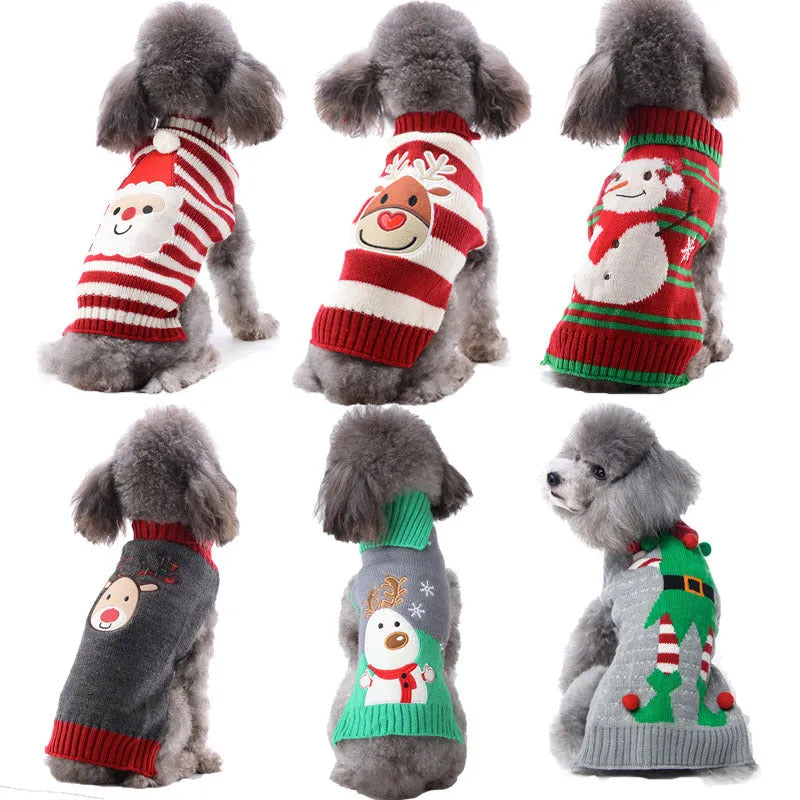 Small dog wearing a grey acrylic Christmas sweater with a red pompom detail