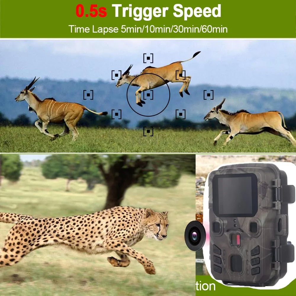 Black monitoring infrared night vision device with 12 megapixel sensor and TF card slot