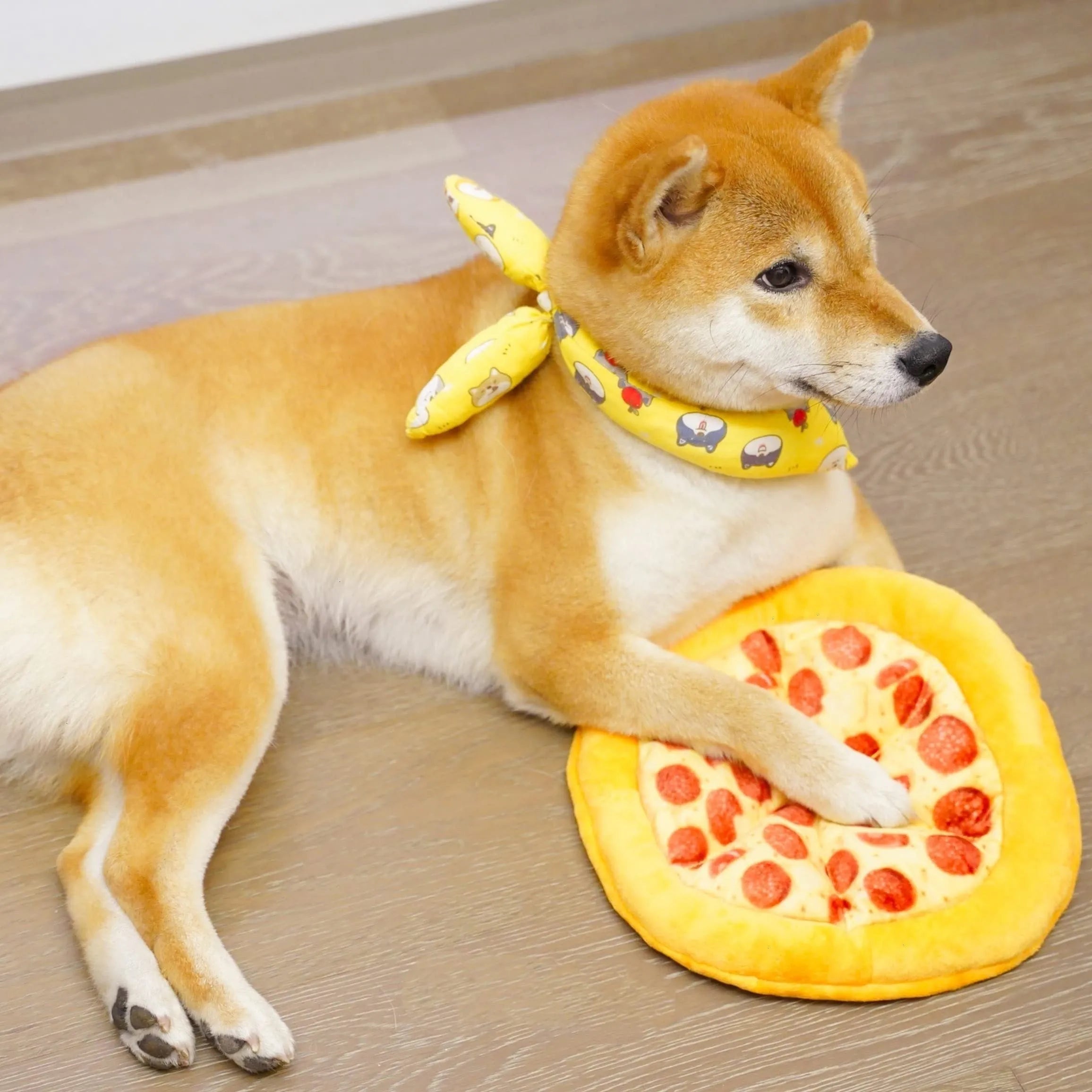 Yellow teddy toy pizza dog chewing toy with grinding teeth and squeaky features