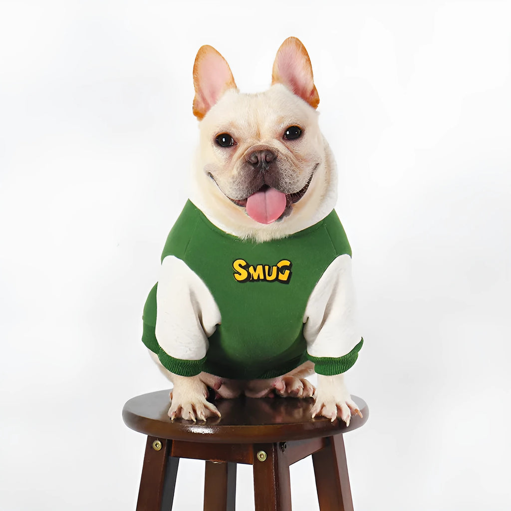 Green cotton dog clothing for autumn and winter wear in sizes L to 4XL