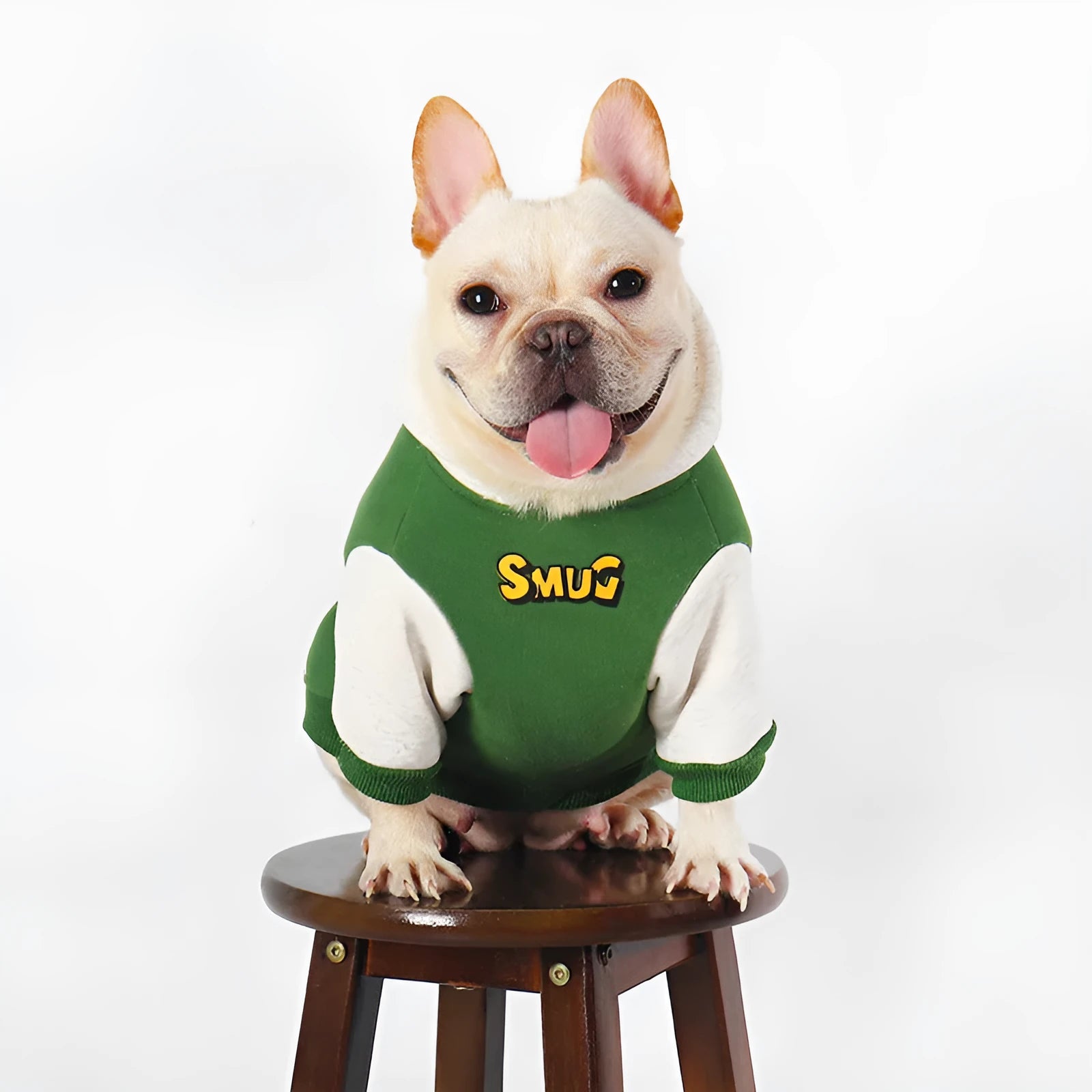 Green cotton dog clothing for autumn and winter wear in sizes L to 4XL