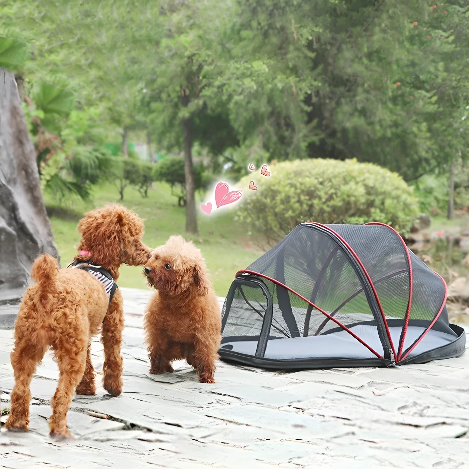 Pet folding tent for cats with cloth construction and mesh panels in L code size