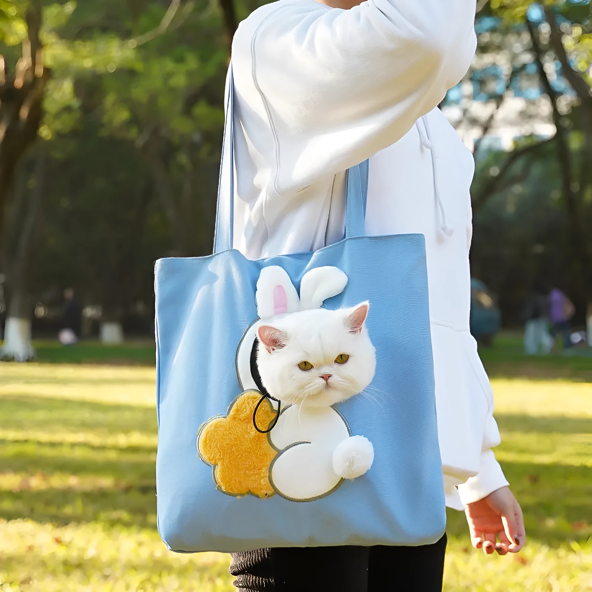 Canvas pet shoulder bag with cartoon pattern for small dog or cat transportation