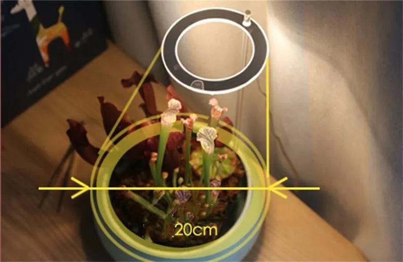 USB LED full spectrum plant grow light with acrylic stick in pink and white or yellow