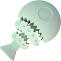 Fish bone shaped dog chew toy with treat hole in blue, green, or pink colours