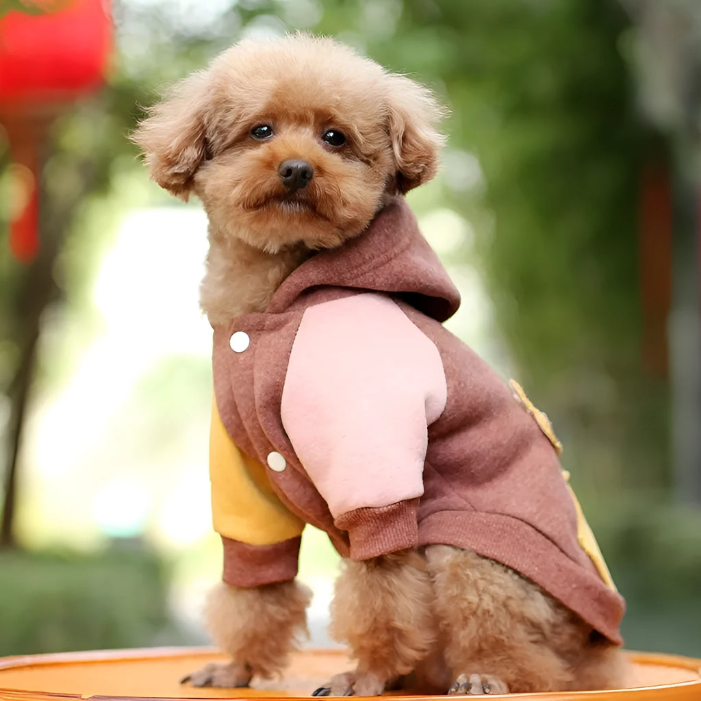 Brown cotton pet sweatshirt for dogs and cats, shown in size M.