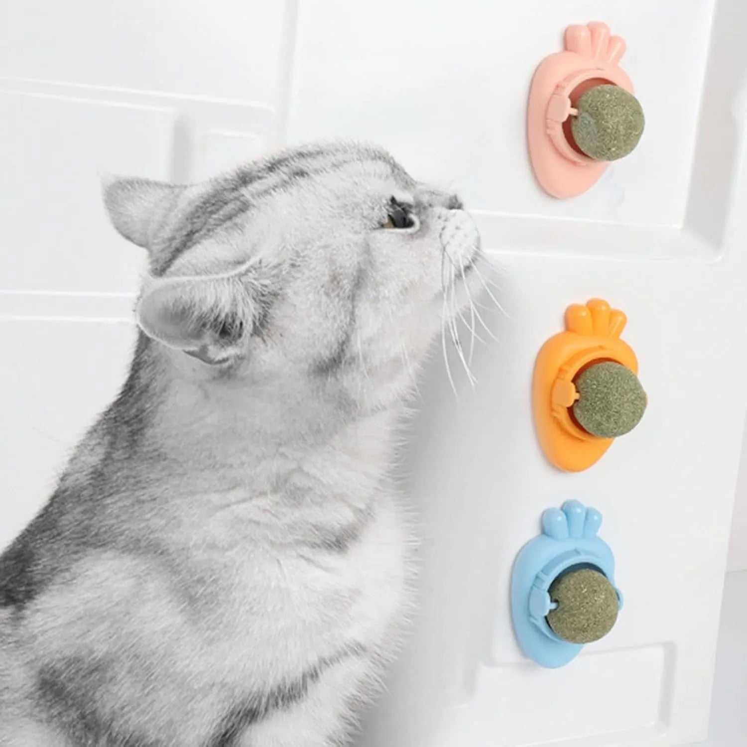 Blue carrot-shaped catnip ball with self-adhesive sticker for wall mounting and feline teeth cleaning